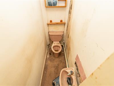 Picture 19